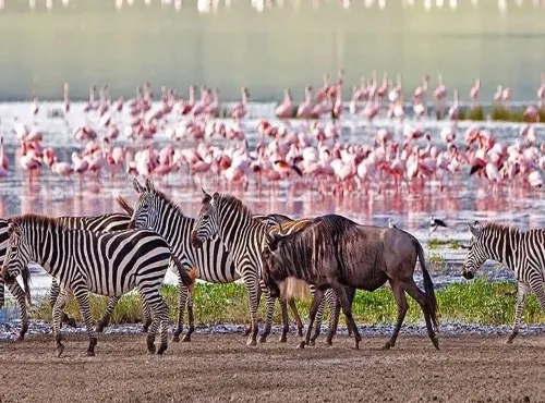 lake manyara