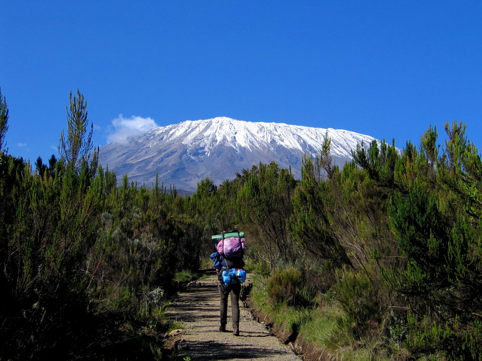 kilimanjaro climb rongai route 01