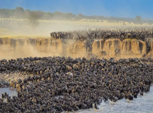 greatmigration (1) 500x370