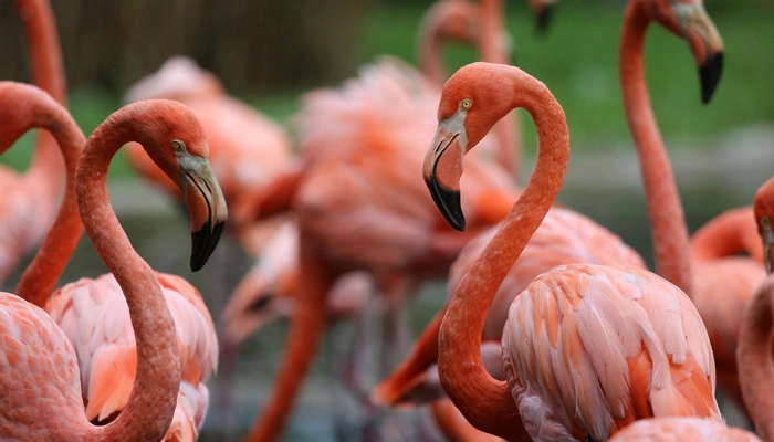 lake manyara day trip