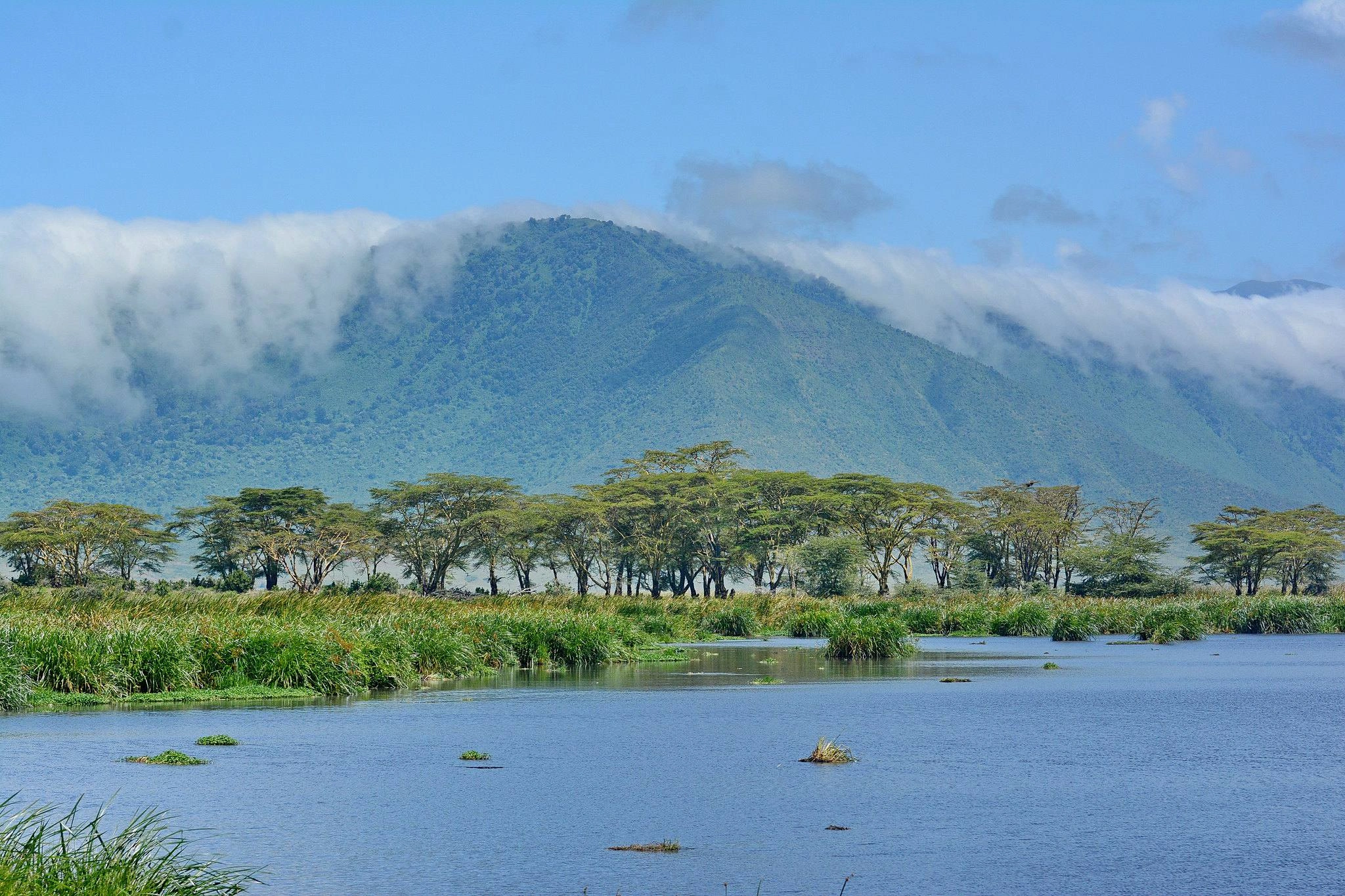 ngorongoro crater swamps nca