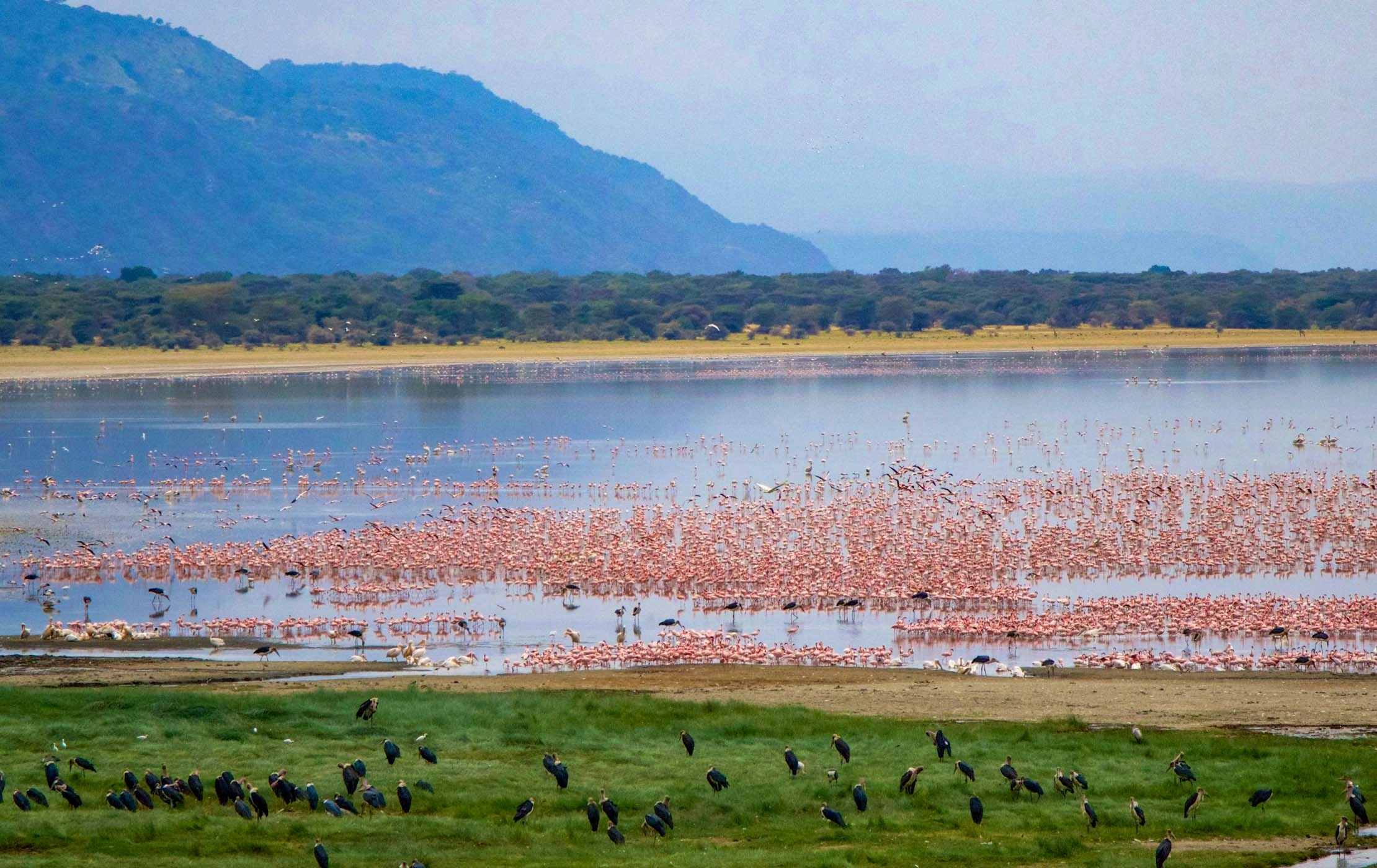 lake manyara 1